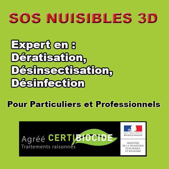 encart pro et particuliers